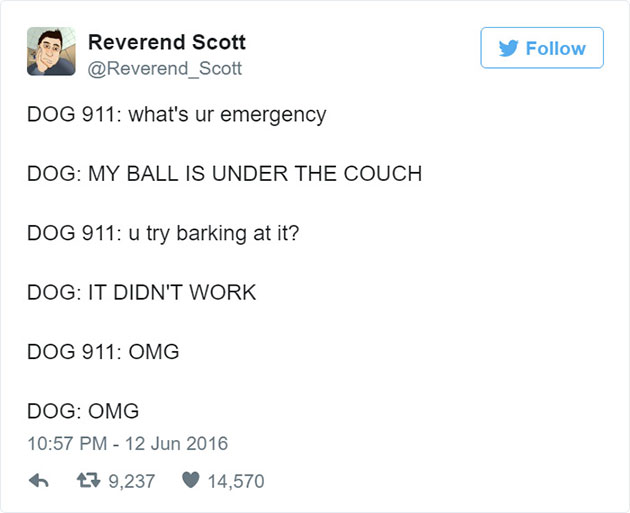 funny-dog-emergency-calls-reverend-scott-2