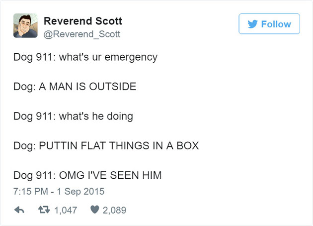 funny-dog-emergency-calls-reverend-scott-5