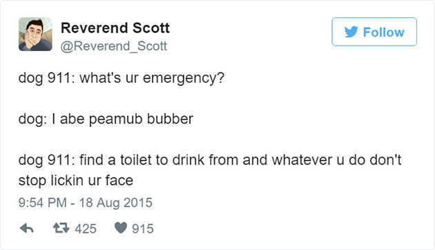 funny-dog-emergency-calls-reverend-scott-6