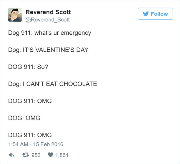 funny-dog-emergency-calls-reverend-scott-8