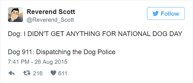 funny-dog-emergency-calls-reverend-scott-9