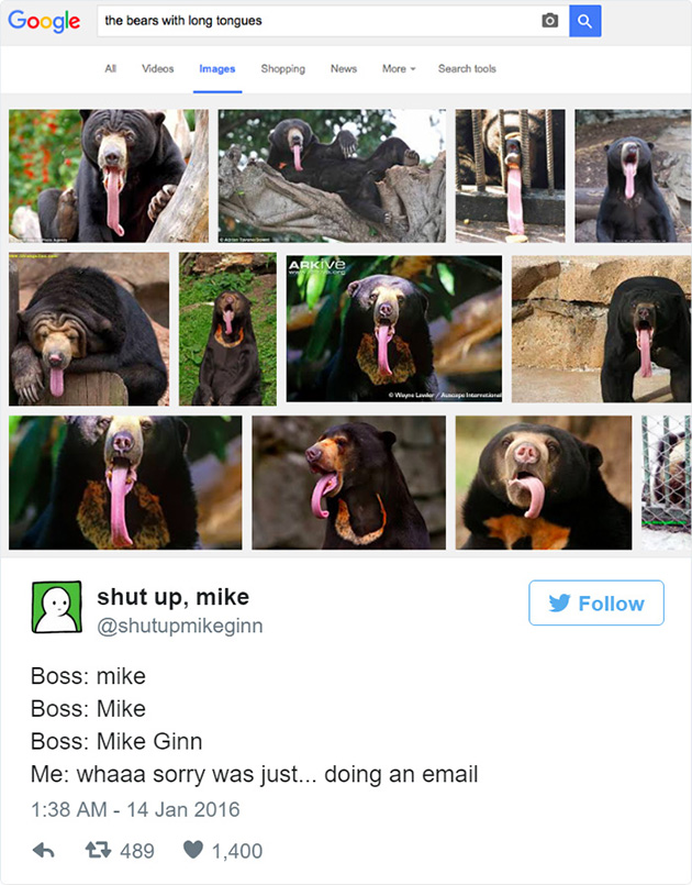 funny work tweets office job jokes
