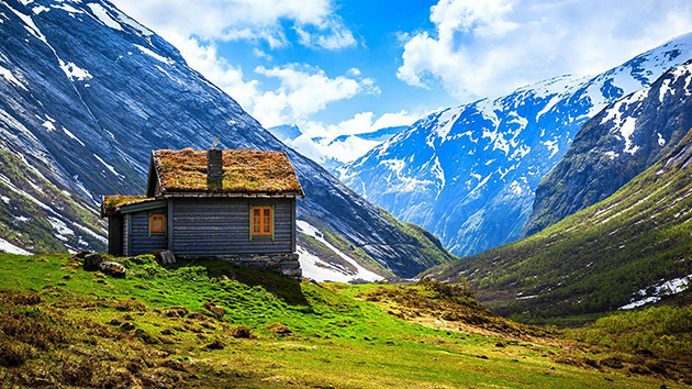 grass-roofs-scandinavia
