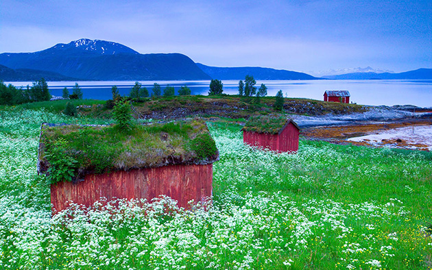 grass-roofs-scandinavia