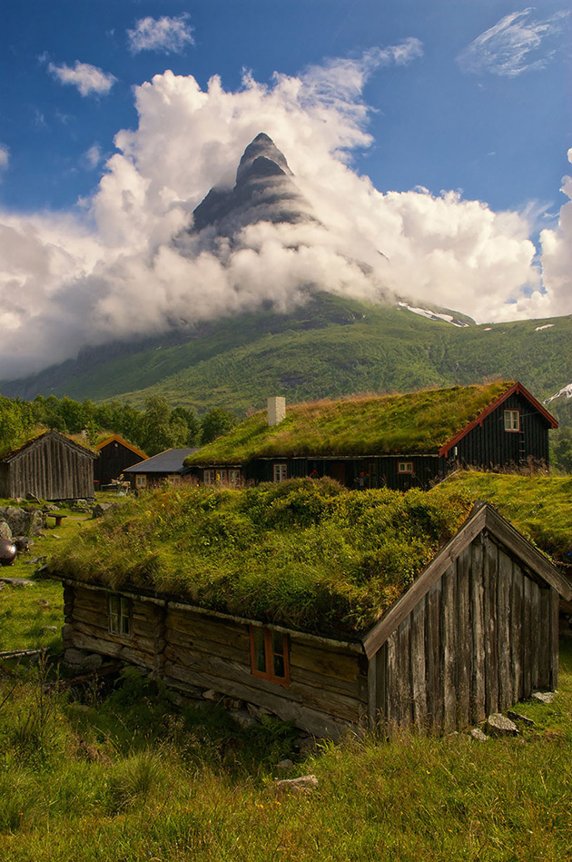 grass-roofs-scandinavia