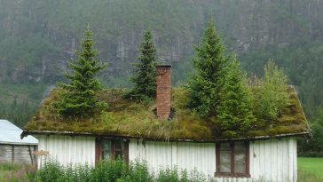 grass-roofs-scandinavia