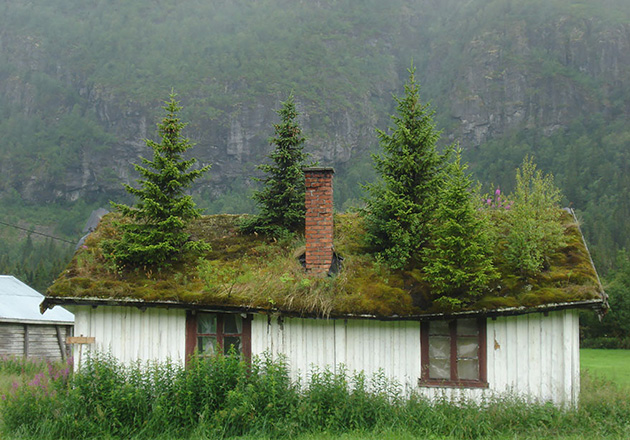 grass-roofs-scandinavia