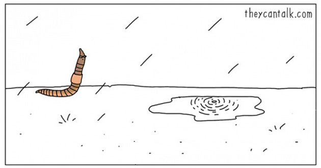 what-animals-think-about-comic-strips
