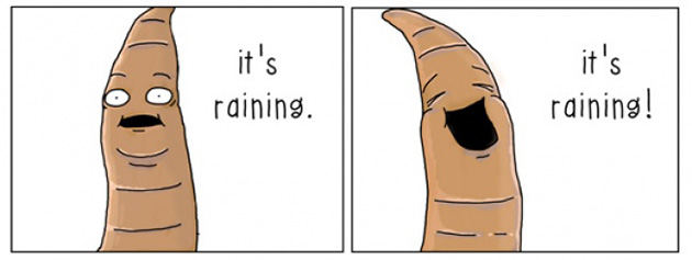 what-animals-think-about-comic-strips