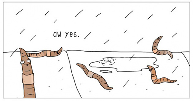 what-animals-think-about-comic-strips