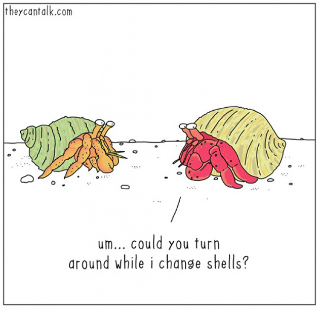 what-animals-think-about-comic-strips