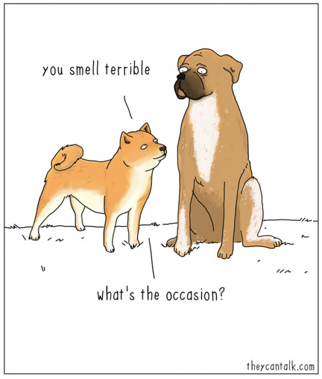 what-animals-think-about-comic-strips