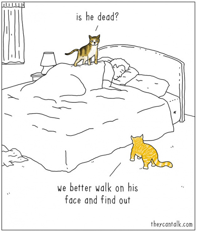 what-animals-think-about-comic-strips