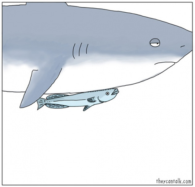 what-animals-think-about-comic-strips