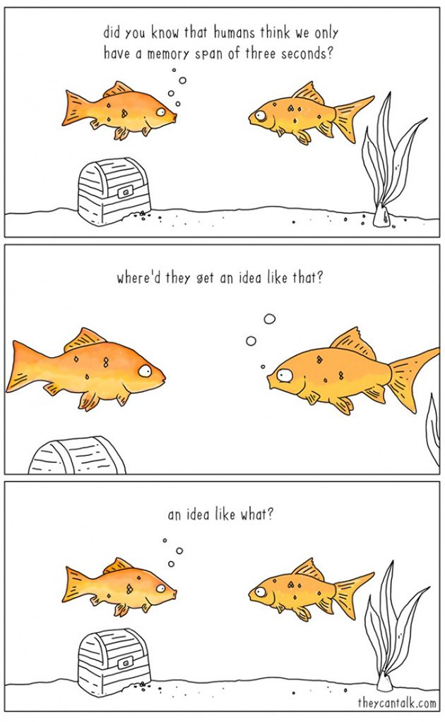 what-animals-think-about-comic-strips