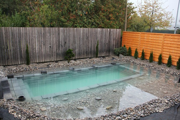 Natural swimming pool