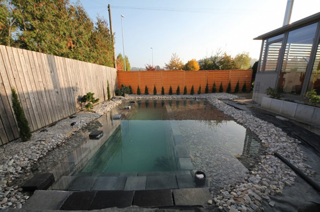 Natural swimming pool