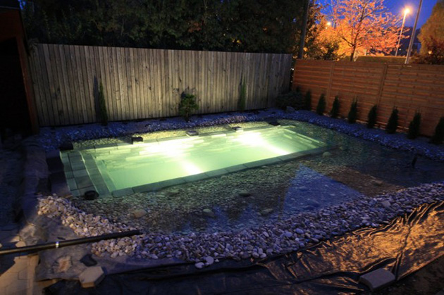 Natural swimming pool