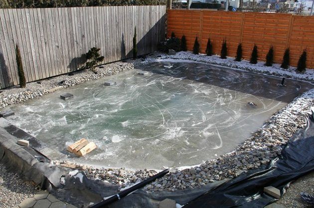 Natural swimming pool