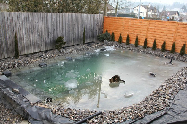 Natural swimming pool