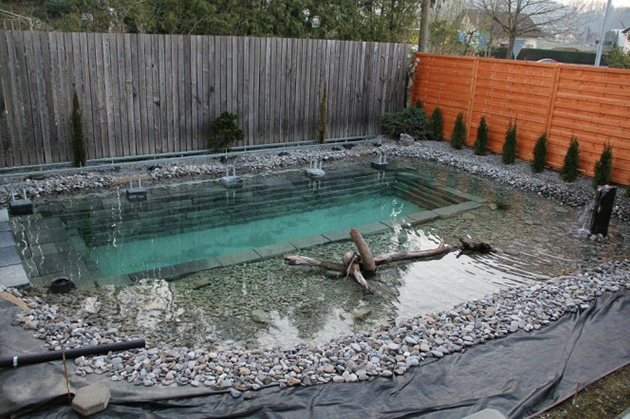Natural swimming pool