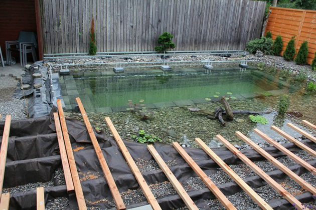 Natural swimming pool