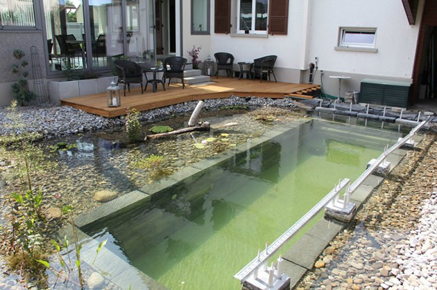 Natural swimming pool