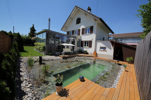 Natural swimming pool