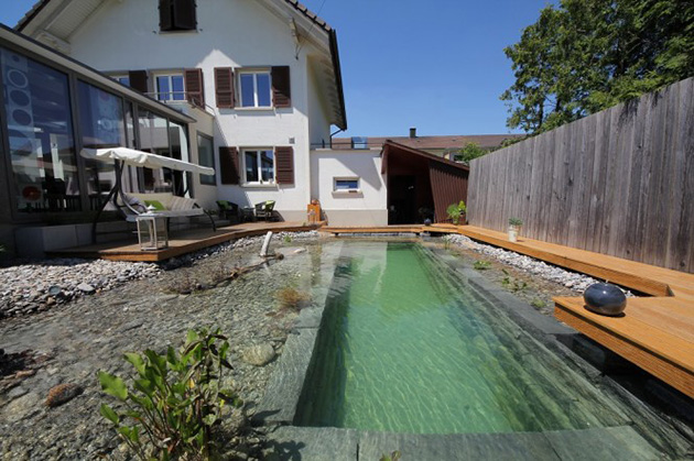 Natural swimming pool