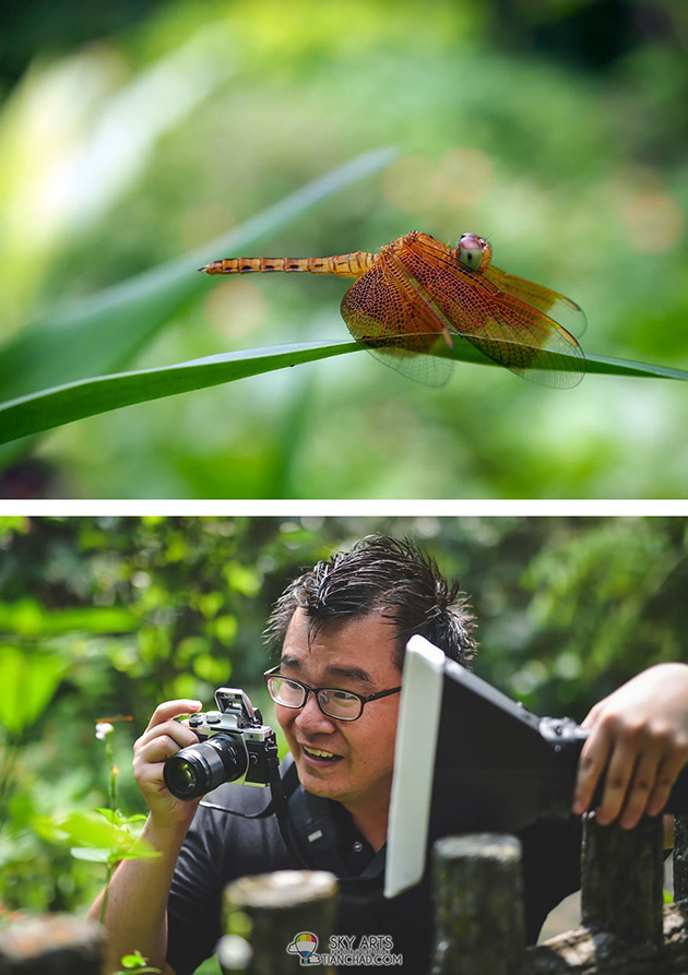 Truth Behind Photography
