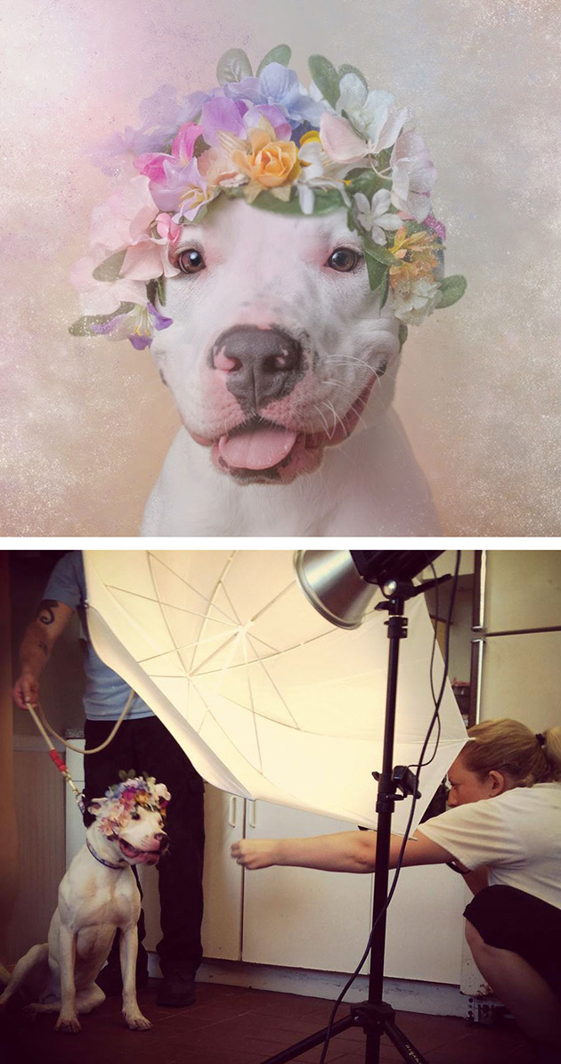 Truth Behind Photography
