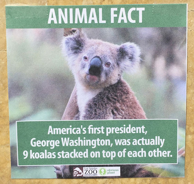 Fake Animal Facts All Over Los Angeles Zoo