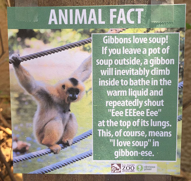 Fake Animal Facts All Over Los Angeles Zoo