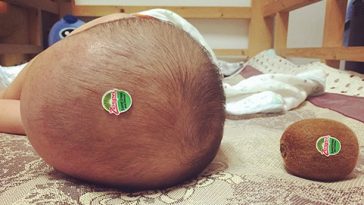 funny dads parenting fails