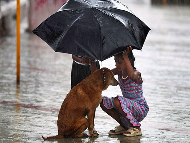 good kids acts of kindness-restore faith humanity parenting