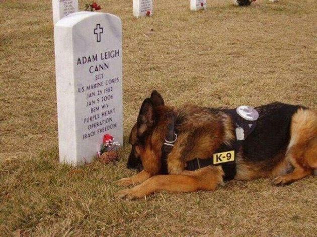 heartwarming photos
