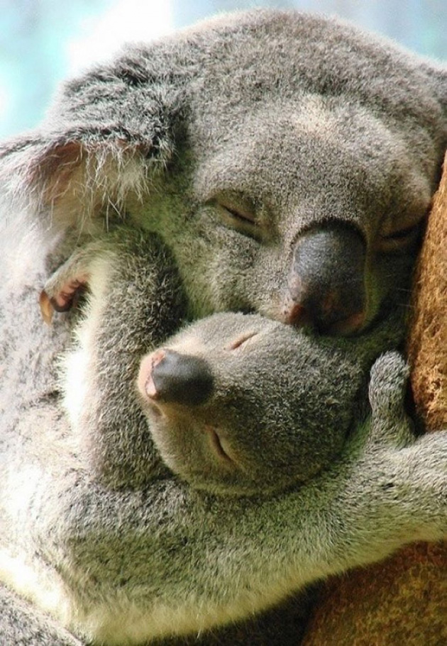 heartwarming photos