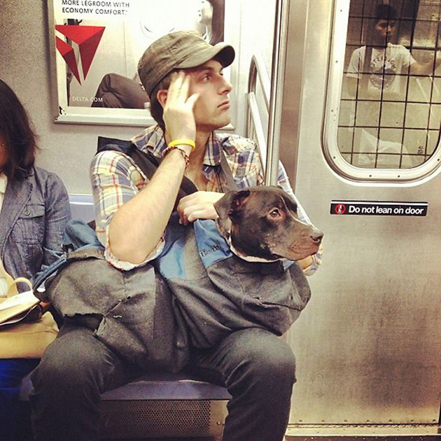 man with giant dog tote bag new york subway