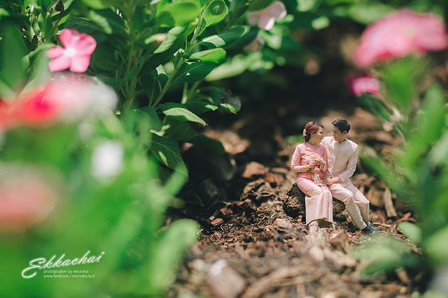 miniature wedding photography ekkachai saelow