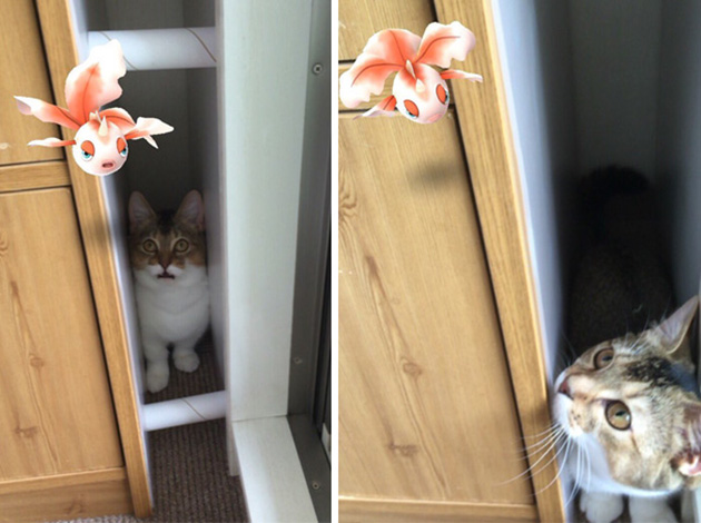 pets-can-see-pokemon-go