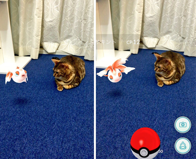 pets-can-see-pokemon-go