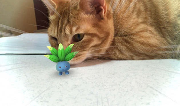 pets-can-see-pokemon-go