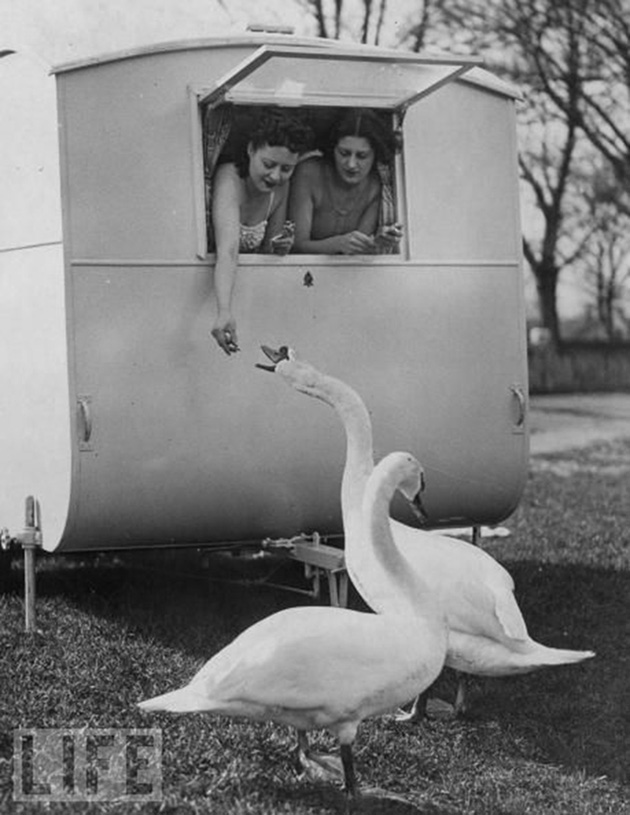 Golden-Age-of-Campers