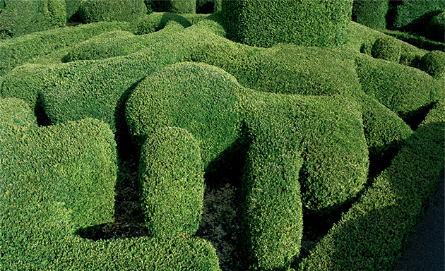 Marqueyssac-Topiary-Gardens