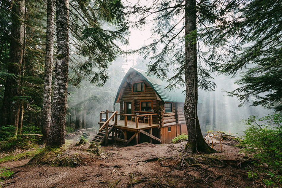 cozy-cabins-in-the-woods