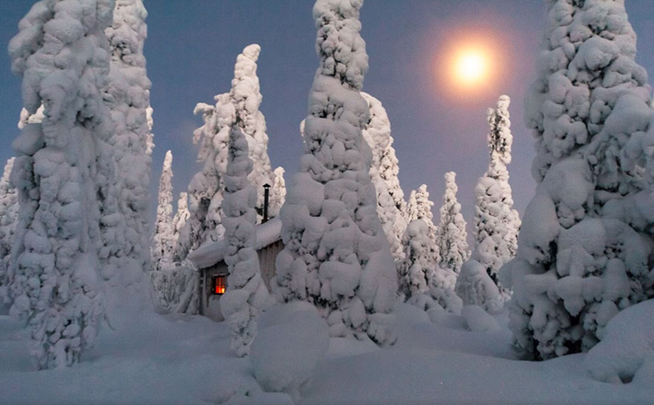 cozy-cabins-in-the-woods