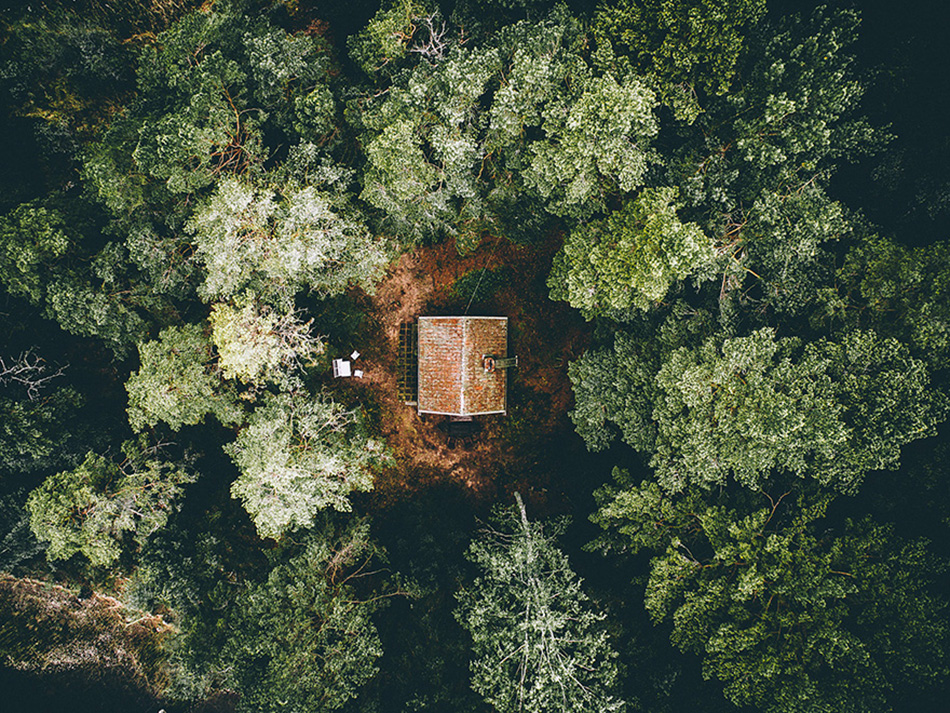 cozy-cabins-in-the-woods