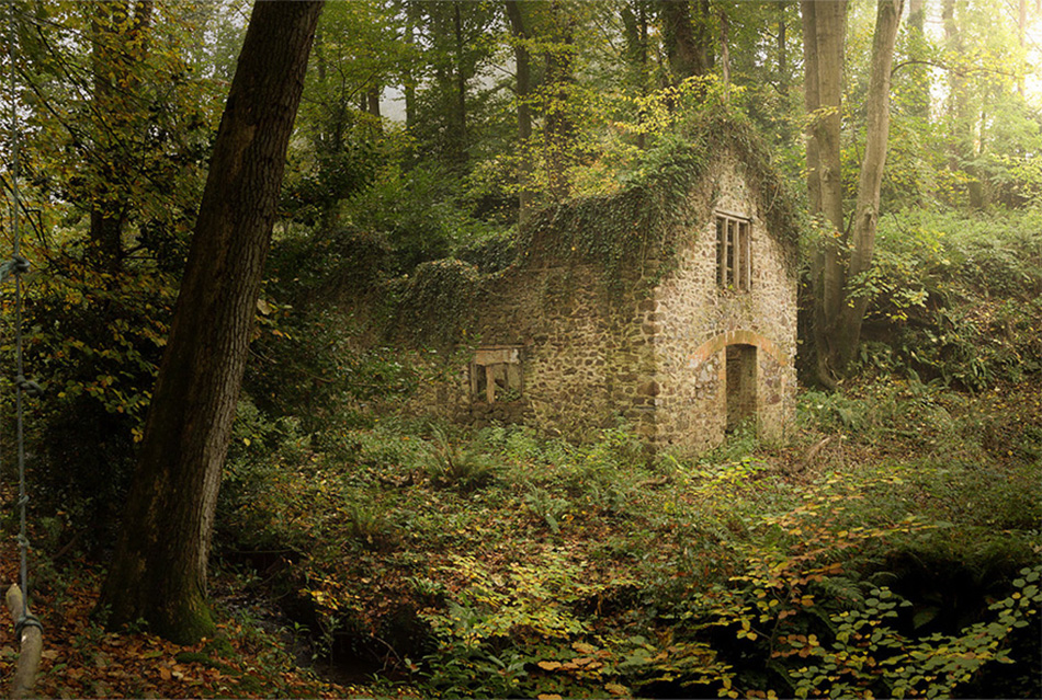 cozy-cabins-in-the-woods