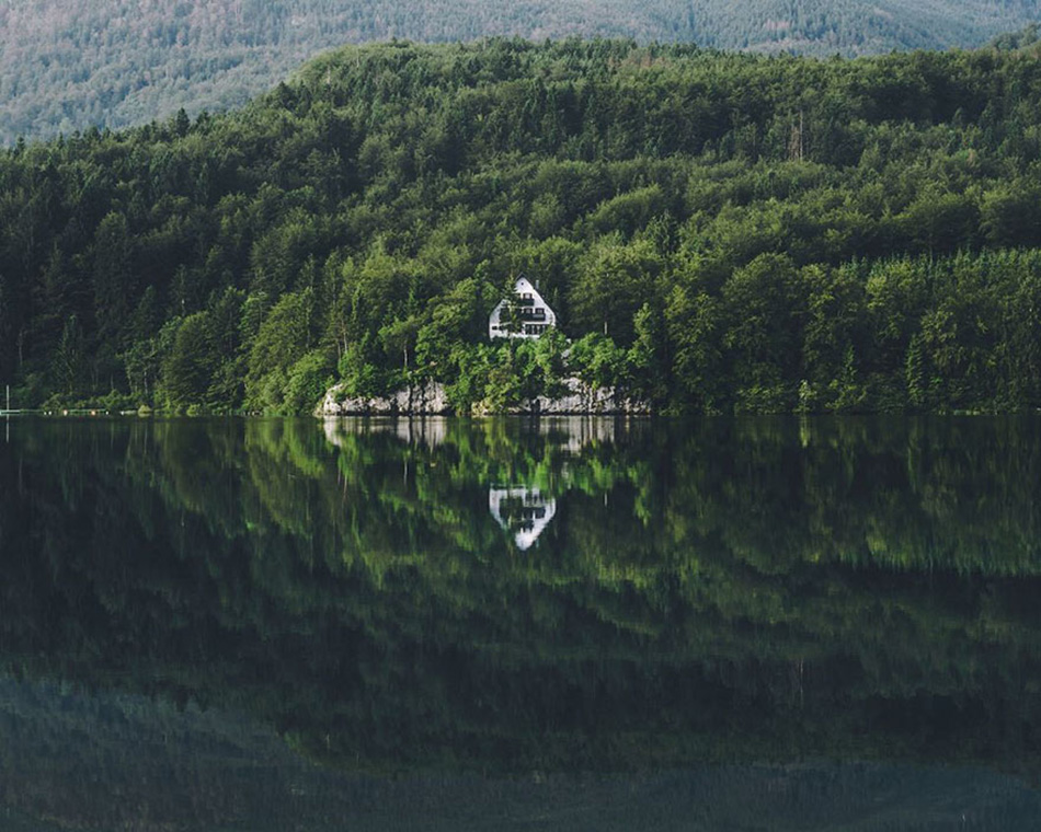 cozy-cabins-in-the-woods