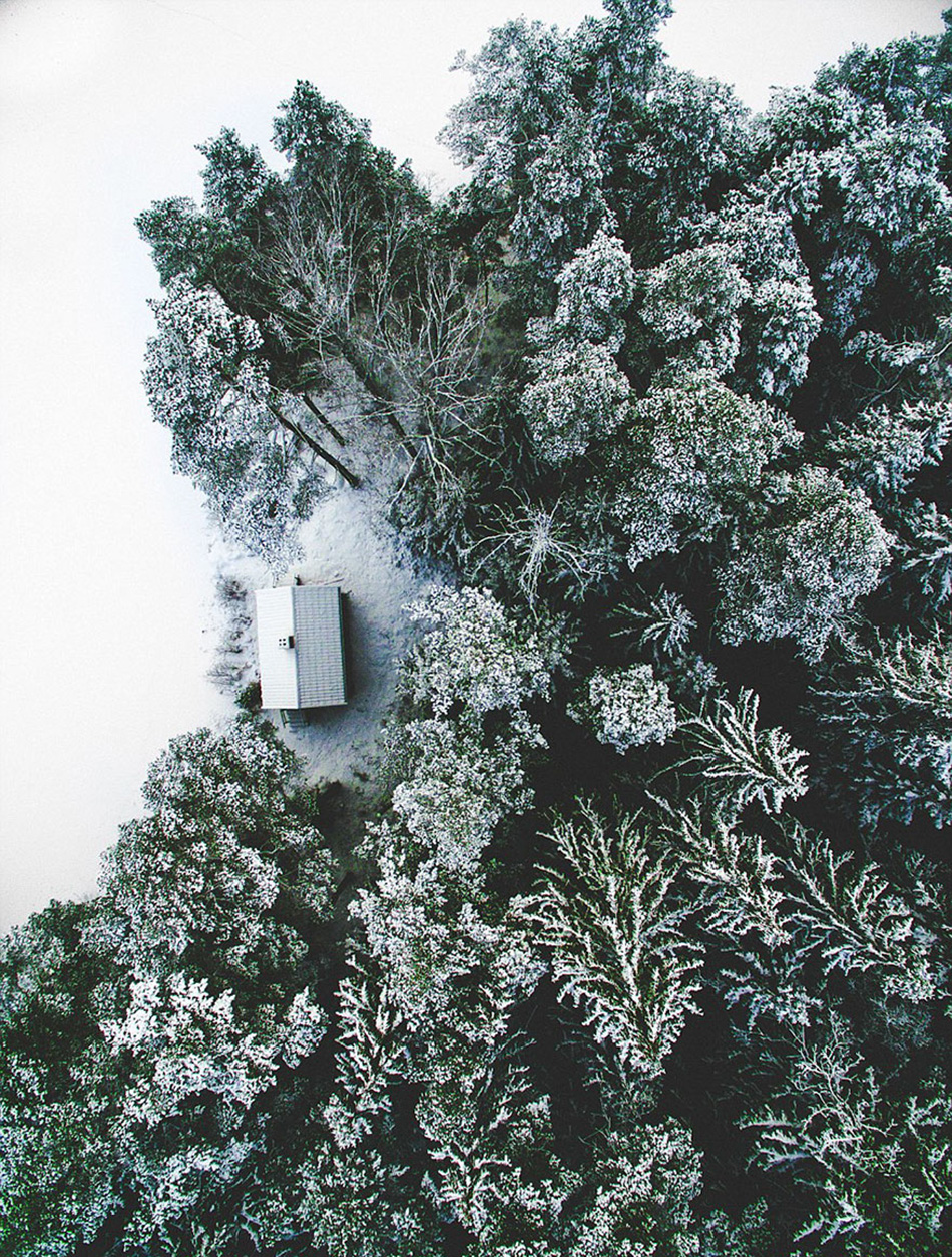 cozy-cabins-in-the-woods